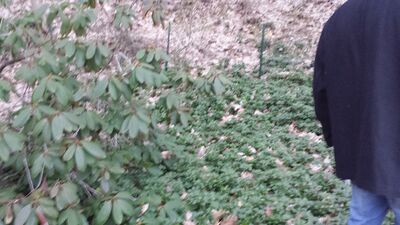 20140423_200537.jpg