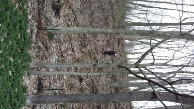 20140423_200637.jpg
