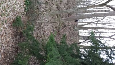 20140423_200710.jpg