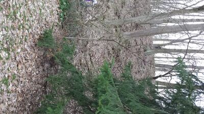 20140423_200722.jpg