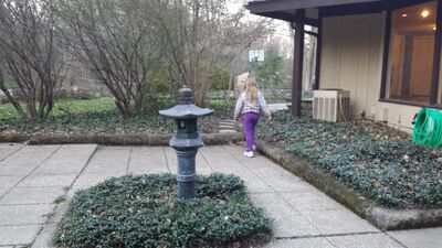 20140423_200812.jpg