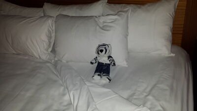 20140325_214428.jpg