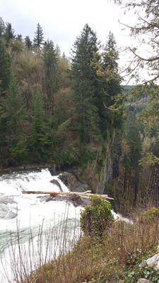 20140327_170316.jpg