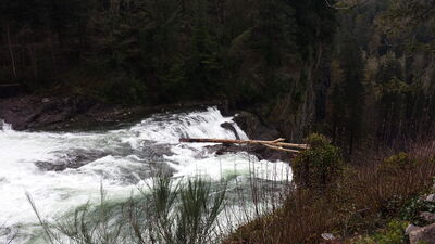 20140327_170349.jpg