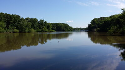 20140709_101651.jpg