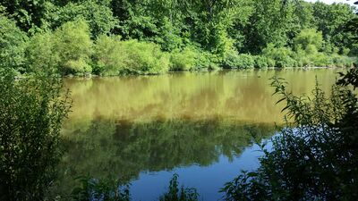 20140709_102150.jpg