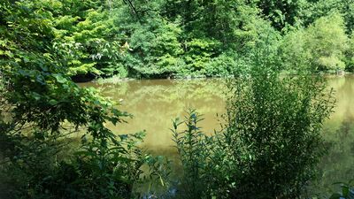 20140709_102153.jpg