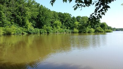 20140709_102206.jpg