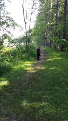 20140709_102928.jpg