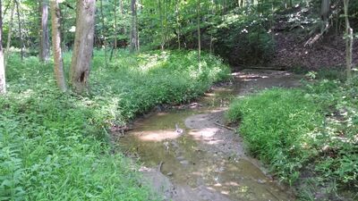 20140709_104519.jpg