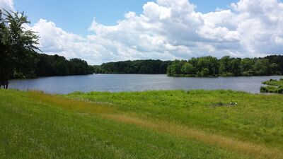 20140709_132222.jpg
