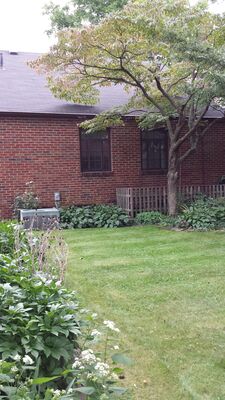 20140915_120834.jpg