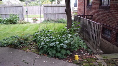 20141007_112312.jpg