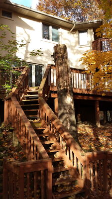 20141023_092500.jpg