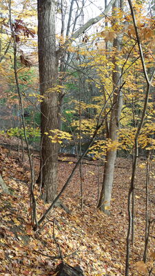 20141023_092520.jpg