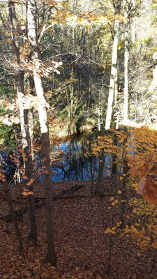 20141023_162312.jpg