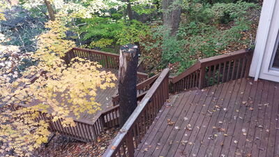 20141023_162346.jpg