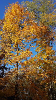 20141023_162801.jpg