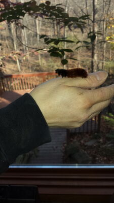 20141103_140340.jpg