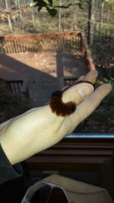 20141103_140408.jpg