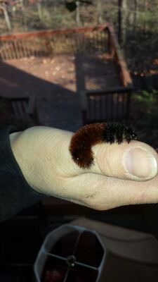 20141103_140423.jpg