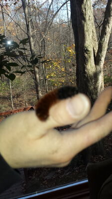 20141103_140438.jpg