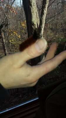20141103_140455.jpg