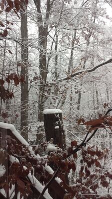 20141117_083028.jpg