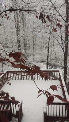 20141117_083047.jpg