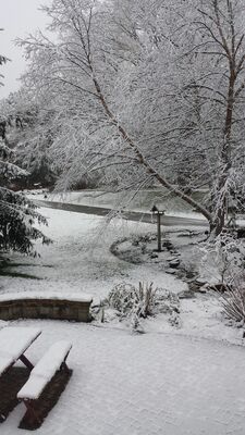 20141117_085238.jpg