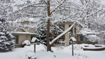 20141121_083859.jpg