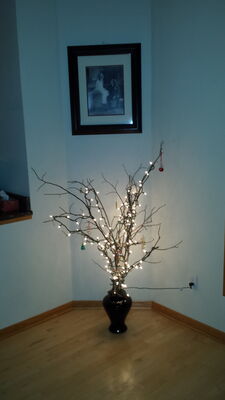 20141214_174545.jpg