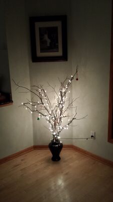 20141214_174554.jpg
