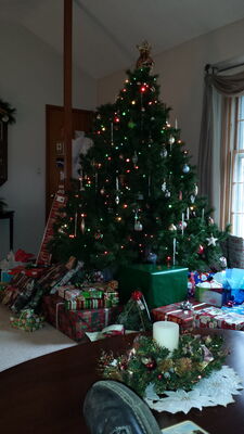 20141225_144509.jpg