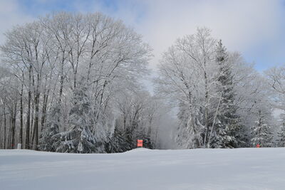 DSC_0165.JPG
