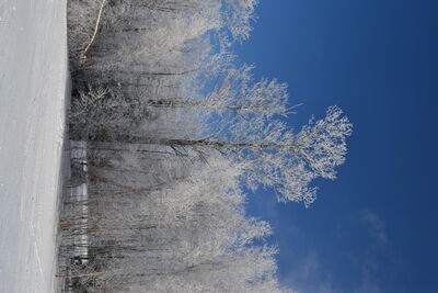 DSC_0168.JPG