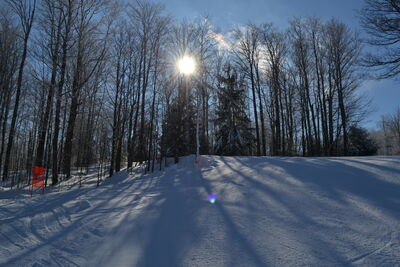 DSC_0176.JPG