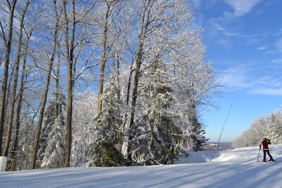 DSC_0181.JPG