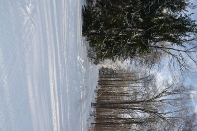 DSC_0189.JPG