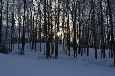 DSC_0191.JPG