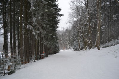DSC_0223.JPG
