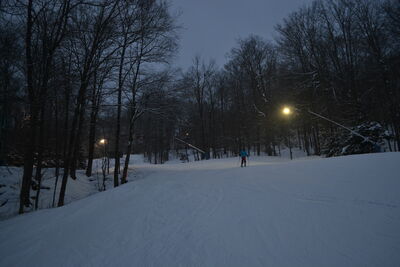 DSC_0229.JPG