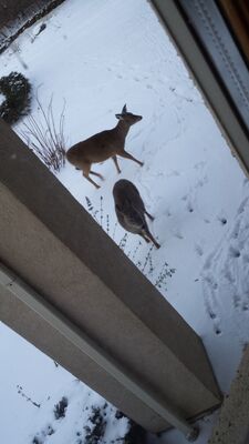 20150110_080525.jpg