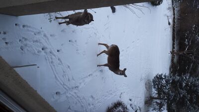 20150110_080536.jpg