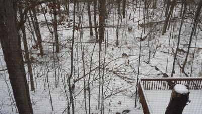 20150111_164007.jpg