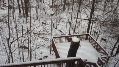 20150111_164029.jpg