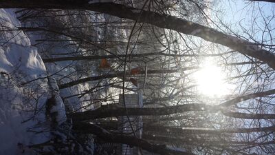 20150114_092506.jpg