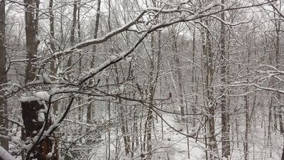20150201_155754.jpg