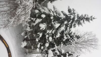 20150201_171851.jpg