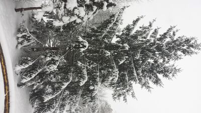 20150201_171901.jpg